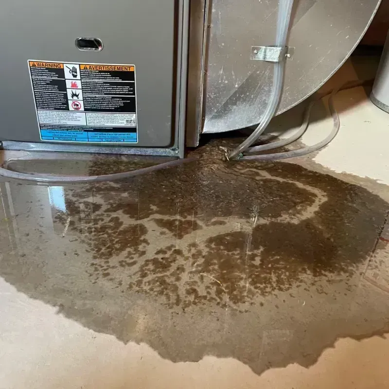 Appliance Leak Cleanup in Cass County, IN